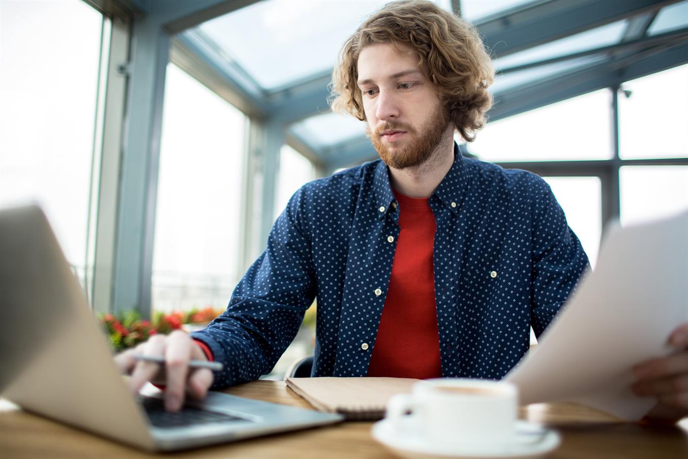 DISSERTATION VS. THESIS: SIMILARITIES AND INSIGHTS